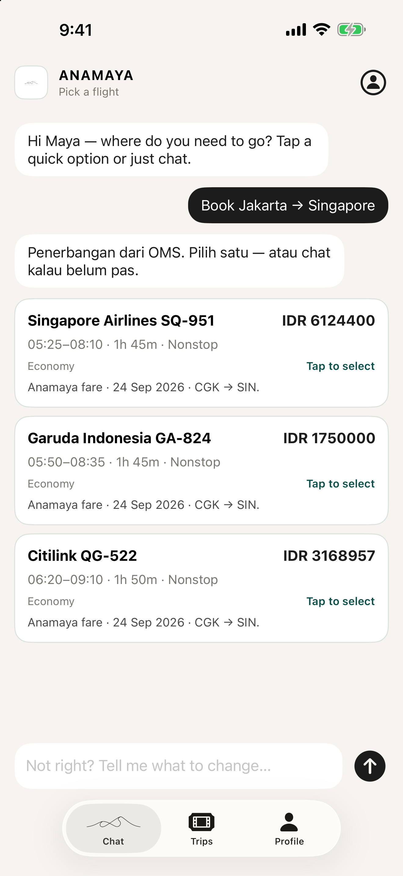 Trip, then flight cards — ANAMAYA.AI mobile screen